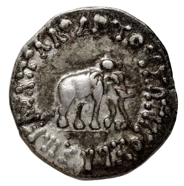 Bactrian and Indo-Greek Coinage Apollodotus I 2, аверс, bnf-bigr