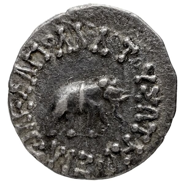 Bactrian and Indo-Greek Coinage Apollodotus I 2, аверс, bnf-bigr