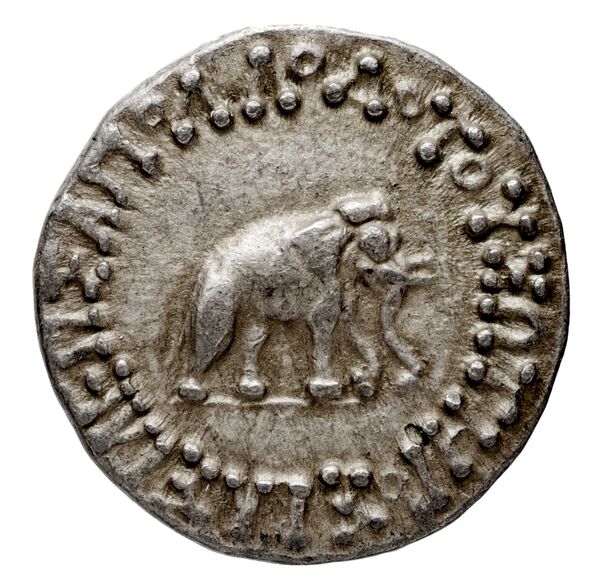 Bactrian and Indo-Greek Coinage Apollodotus I 2, аверс, bnf-bigr