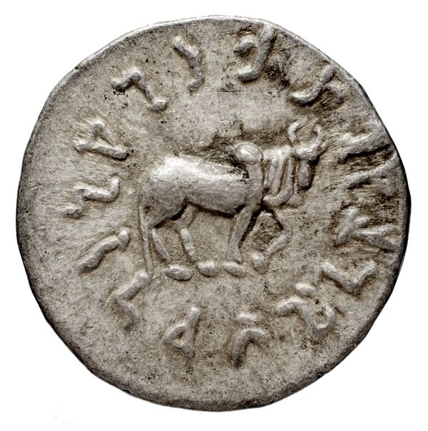 Bactrian and Indo-Greek Coinage Apollodotus I 2, реверс, bnf-bigr
