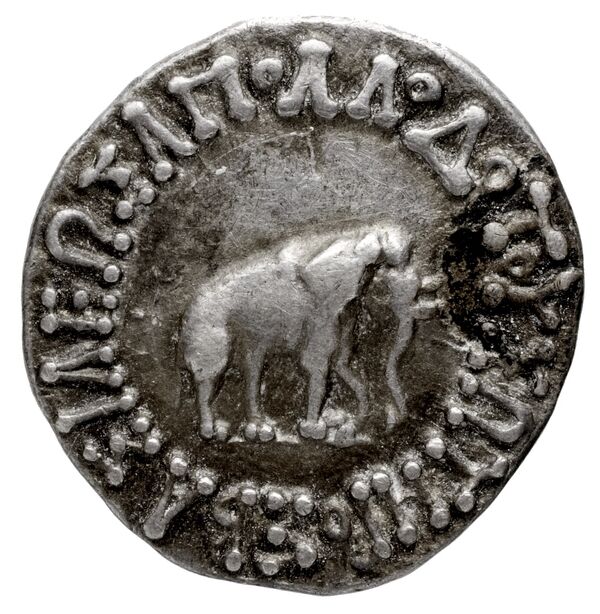 Bactrian and Indo-Greek Coinage Apollodotus I 2, аверс, bnf-bigr