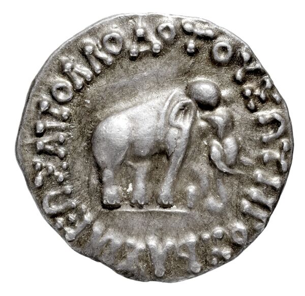 Bactrian and Indo-Greek Coinage Apollodotus I 2, аверс, bnf-bigr