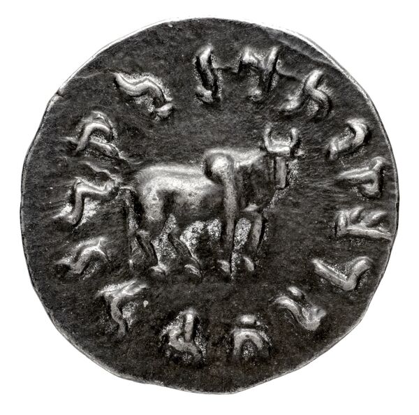 Bactrian and Indo-Greek Coinage Apollodotus I 2, реверс, bnf-bigr