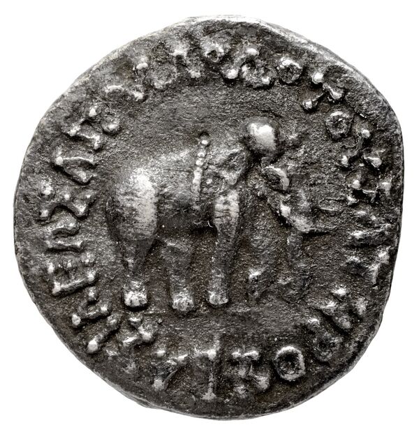 Bactrian and Indo-Greek Coinage Apollodotus I 2, аверс, bnf-bigr