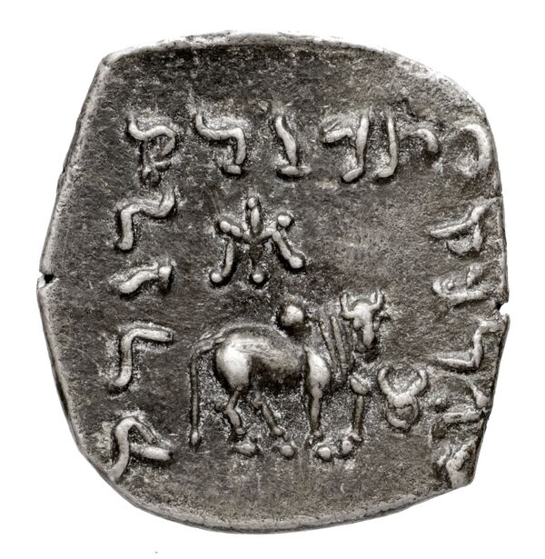 Bactrian and Indo-Greek Coinage Apollodotus I 3.1, реверс, bnf-bigr