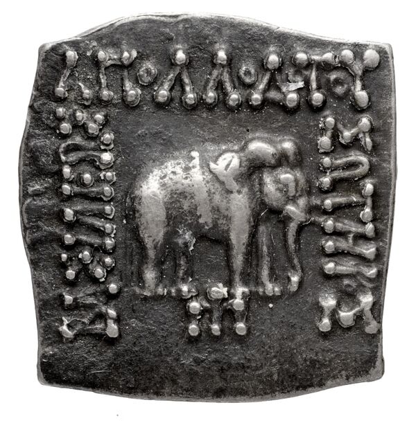 Bactrian and Indo-Greek Coinage Apollodotus I 4.7, аверс, bnf-bigr