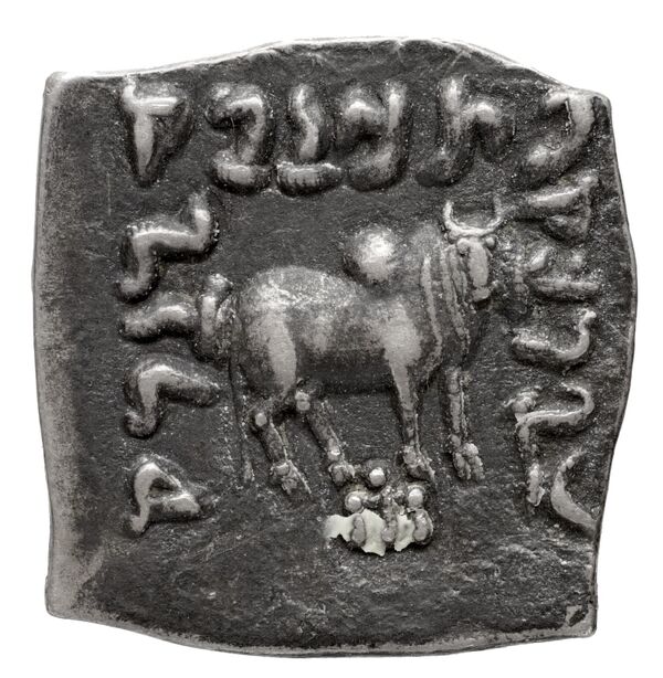 Bactrian and Indo-Greek Coinage Apollodotus I 4.7, реверс, bnf-bigr
