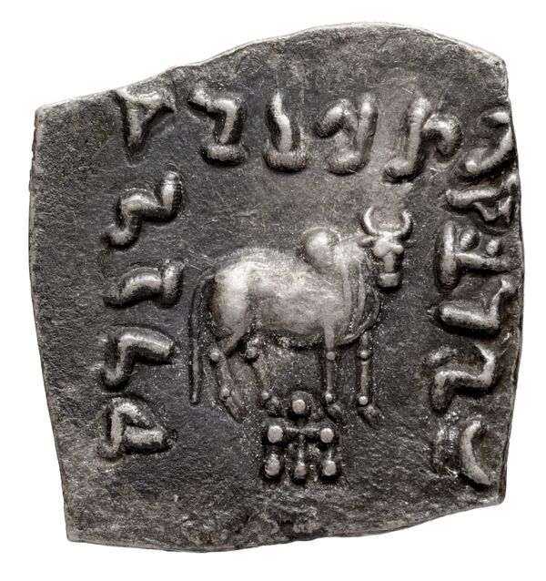 Bactrian and Indo-Greek Coinage Apollodotus I 4.7, реверс, bnf-bigr