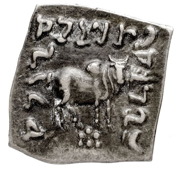 Bactrian and Indo-Greek Coinage Apollodotus I 4.7, реверс, bnf-bigr