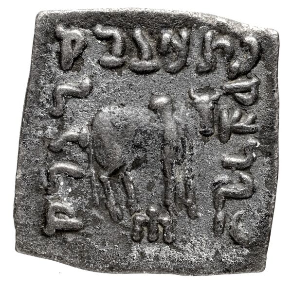 Bactrian and Indo-Greek Coinage Apollodotus I 4.7, реверс, bnf-bigr