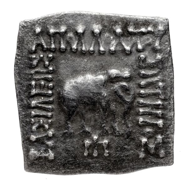 Bactrian and Indo-Greek Coinage Apollodotus I 4.7, аверс, bnf-bigr