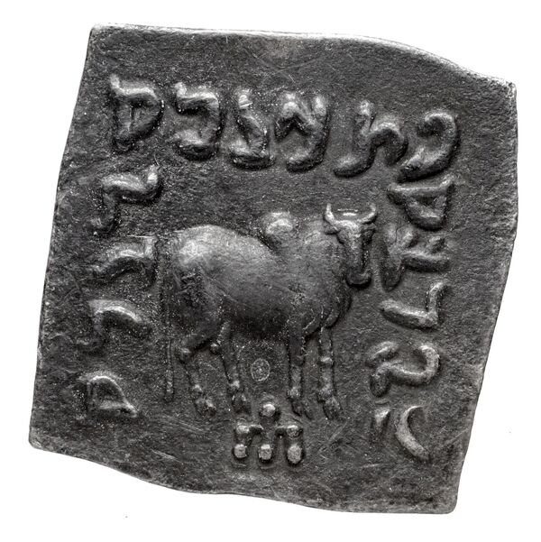 Bactrian and Indo-Greek Coinage Apollodotus I 4.7, реверс, bnf-bigr