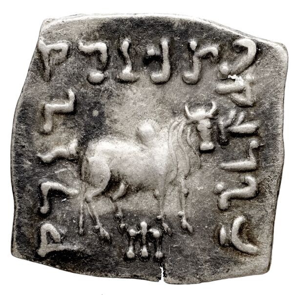 Bactrian and Indo-Greek Coinage Apollodotus I 4.7, реверс, bnf-bigr