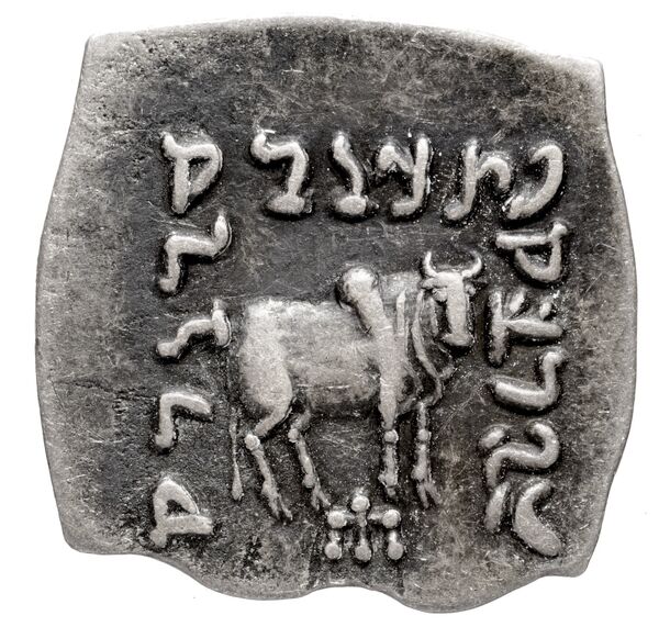 Bactrian and Indo-Greek Coinage Apollodotus I 4.7, реверс, bnf-bigr