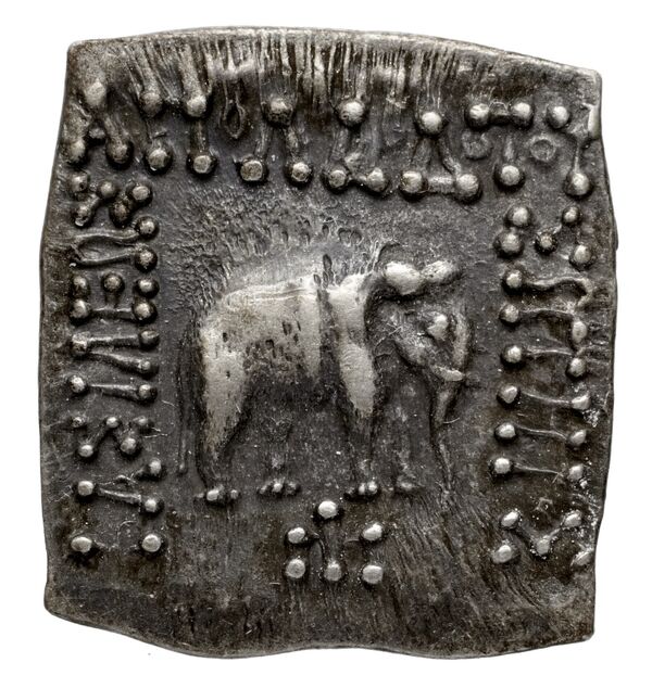 Bactrian and Indo-Greek Coinage Apollodotus I 4.7, аверс, bnf-bigr