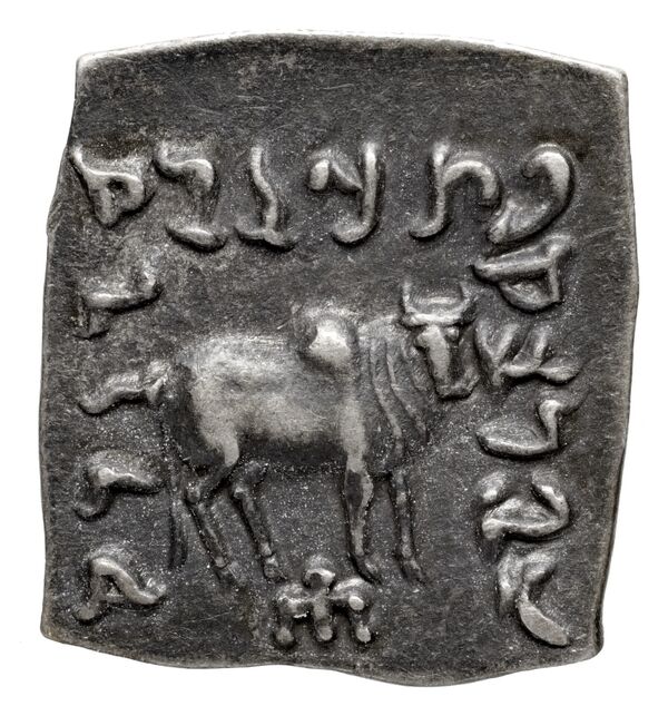 Bactrian and Indo-Greek Coinage Apollodotus I 4.7, реверс, bnf-bigr