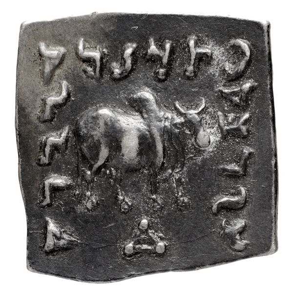 Bactrian and Indo-Greek Coinage Apollodotus I 4.3, реверс, bnf-bigr