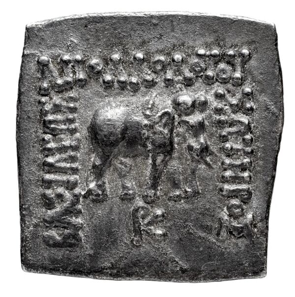 Bactrian and Indo-Greek Coinage Apollodotus I 4.3, аверс, bnf-bigr