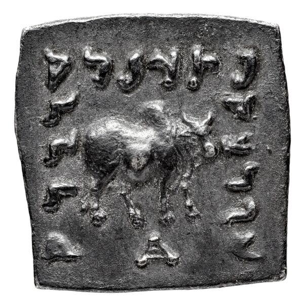 Bactrian and Indo-Greek Coinage Apollodotus I 4.3, реверс, bnf-bigr