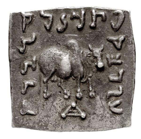 Bactrian and Indo-Greek Coinage Apollodotus I 4.3, реверс, bnf-bigr