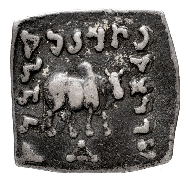 Bactrian and Indo-Greek Coinage Apollodotus I 4.3, реверс, bnf-bigr