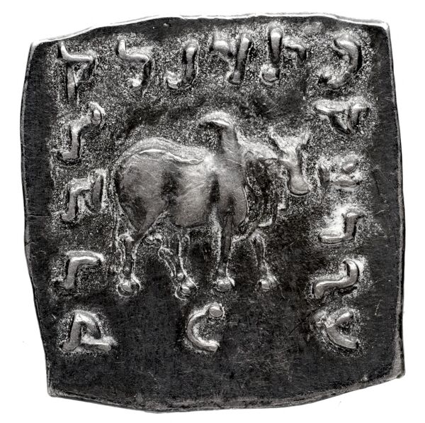Bactrian and Indo-Greek Coinage Apollodotus I 4.4, реверс, bnf-bigr