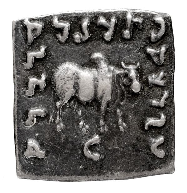 Bactrian and Indo-Greek Coinage Apollodotus I 4.4, реверс, bnf-bigr