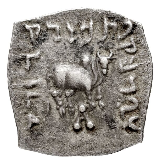 Bactrian and Indo-Greek Coinage Apollodotus I 4.1, реверс, bnf-bigr