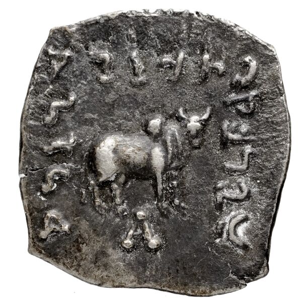 Bactrian and Indo-Greek Coinage Apollodotus I 4.1, реверс, bnf-bigr