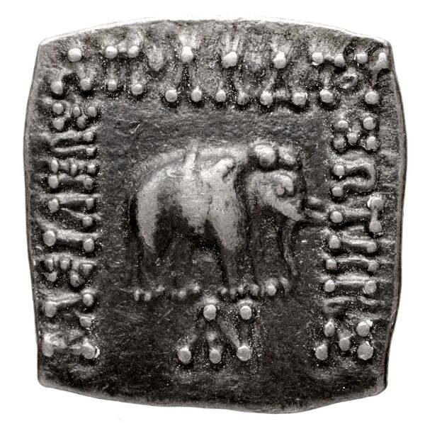 Bactrian and Indo-Greek Coinage Apollodotus I 4.1, аверс, bnf-bigr