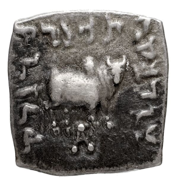 Bactrian and Indo-Greek Coinage Apollodotus I 4.1, реверс, bnf-bigr