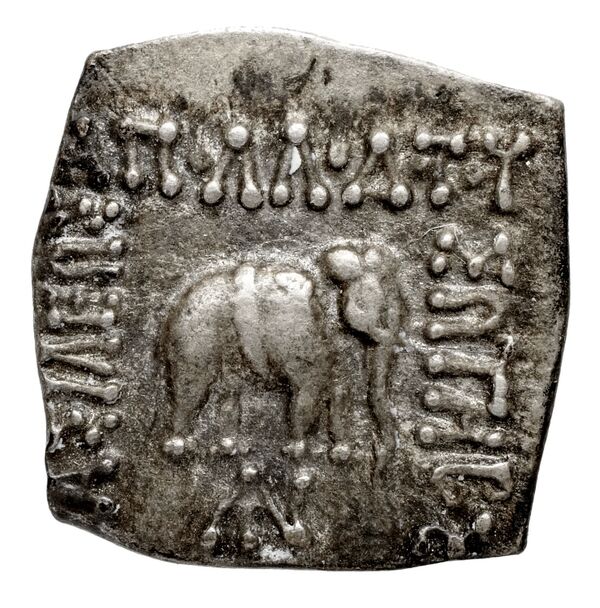 Bactrian and Indo-Greek Coinage Apollodotus I 4.1, аверс, bnf-bigr