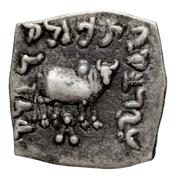 Bactrian and Indo-Greek Coinage Apollodotus I 4.1, реверс, bnf-bigr