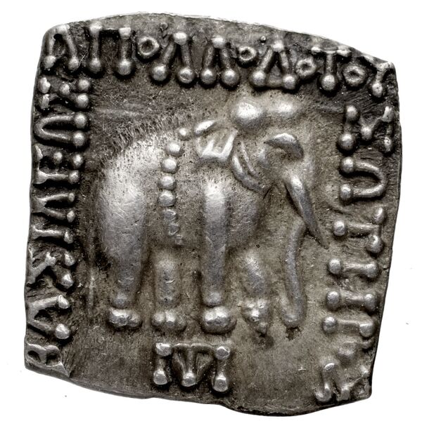 Bactrian and Indo-Greek Coinage Apollodotus I 4.6, аверс, bnf-bigr