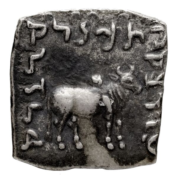 Bactrian and Indo-Greek Coinage Apollodotus I 4.6, реверс, bnf-bigr