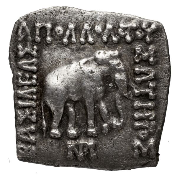 Bactrian and Indo-Greek Coinage Apollodotus I 4.6, аверс, bnf-bigr