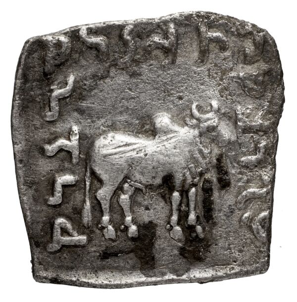 Bactrian and Indo-Greek Coinage Apollodotus I 4.6, реверс, bnf-bigr