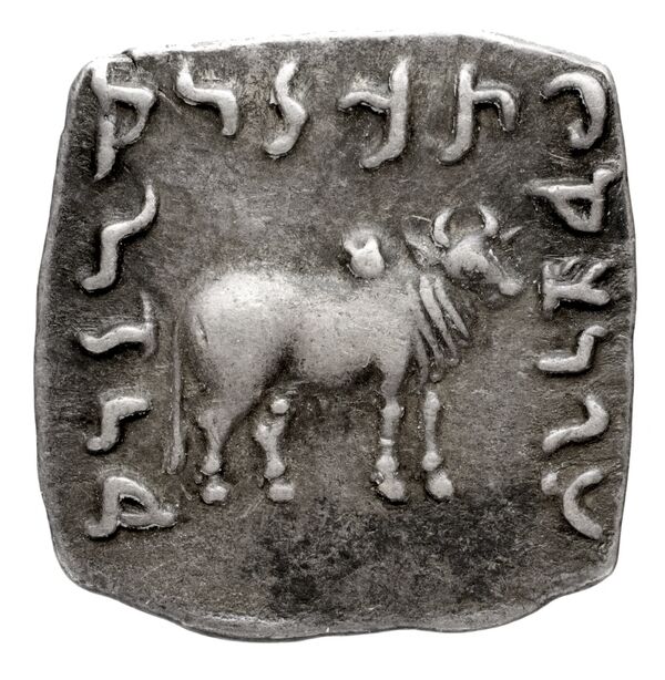 Bactrian and Indo-Greek Coinage Apollodotus I 4.6, реверс, bnf-bigr