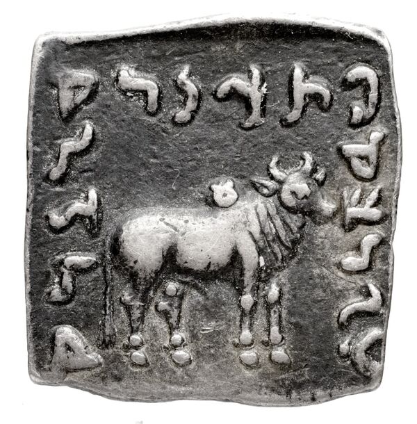 Bactrian and Indo-Greek Coinage Apollodotus I 4.6, реверс, bnf-bigr