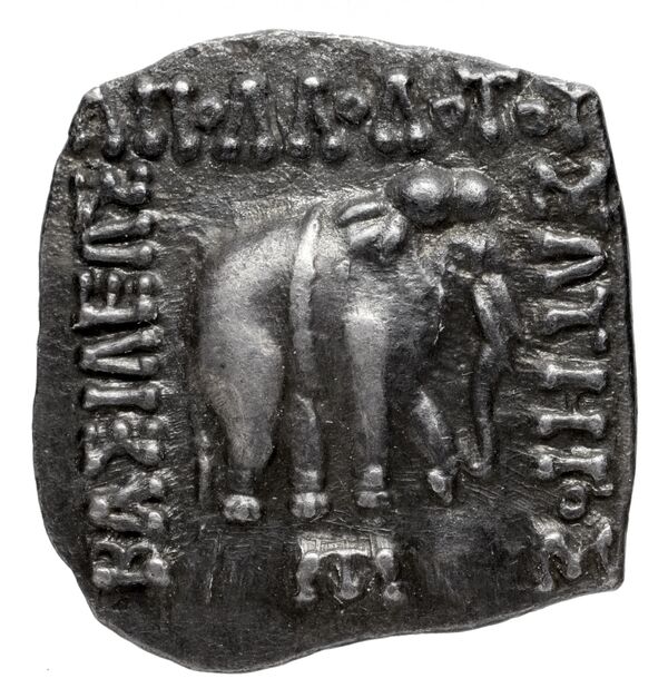 Bactrian and Indo-Greek Coinage Apollodotus I 4.6, аверс, bnf-bigr