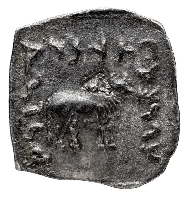 Bactrian and Indo-Greek Coinage Apollodotus I 4.6, реверс, bnf-bigr