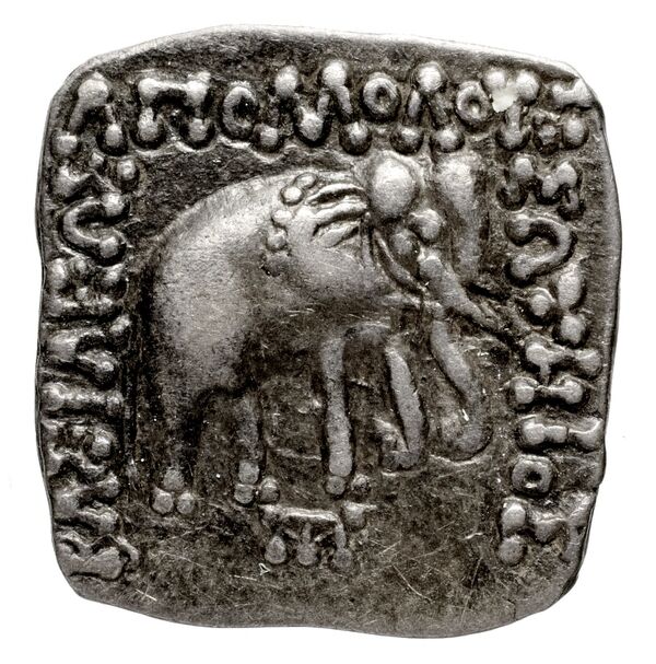 Bactrian and Indo-Greek Coinage Apollodotus I 4.6, аверс, bnf-bigr