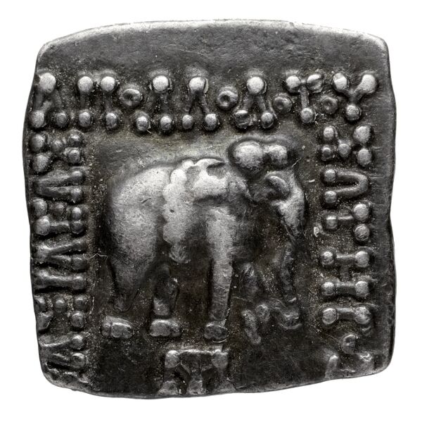 Bactrian and Indo-Greek Coinage Apollodotus I 4.6, аверс, bnf-bigr