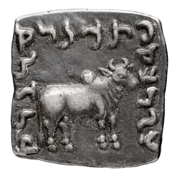 Bactrian and Indo-Greek Coinage Apollodotus I 4.6, реверс, bnf-bigr