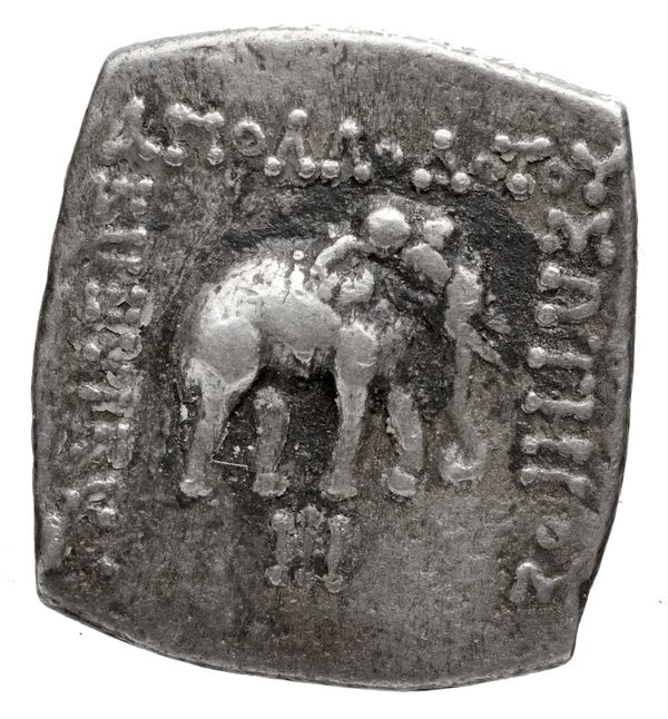 Bactrian and Indo-Greek Coinage Apollodotus I 4.8, аверс, bnf-bigr