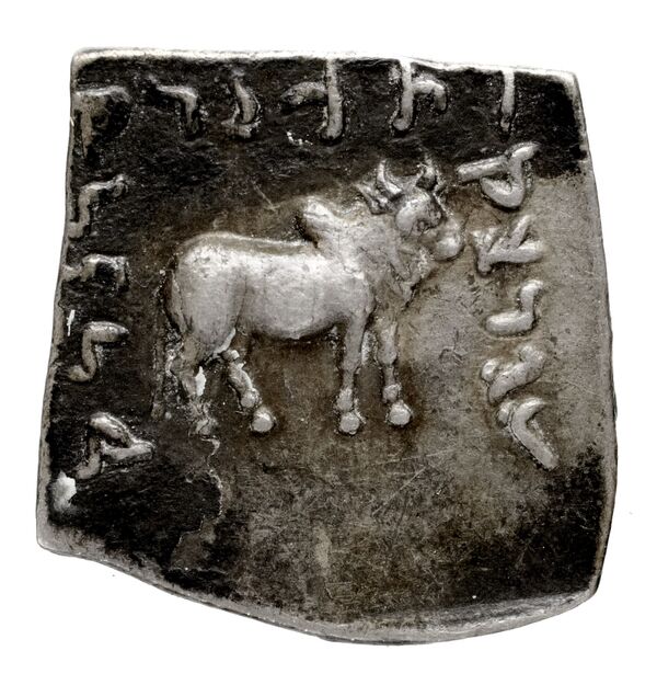 Bactrian and Indo-Greek Coinage Apollodotus I 4.8, реверс, bnf-bigr