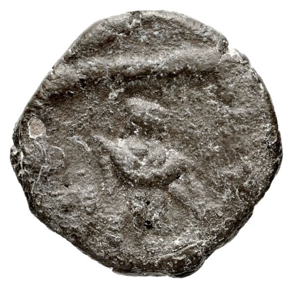 Bactrian and Indo-Greek Coinage Apollodotus II 10.1, аверс, bnf-bigr