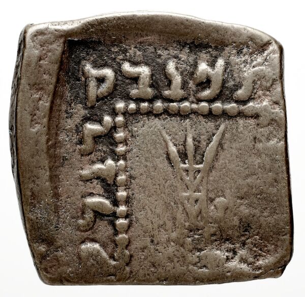 Bactrian and Indo-Greek Coinage Apollodotus I 6.12, реверс, bnf-bigr