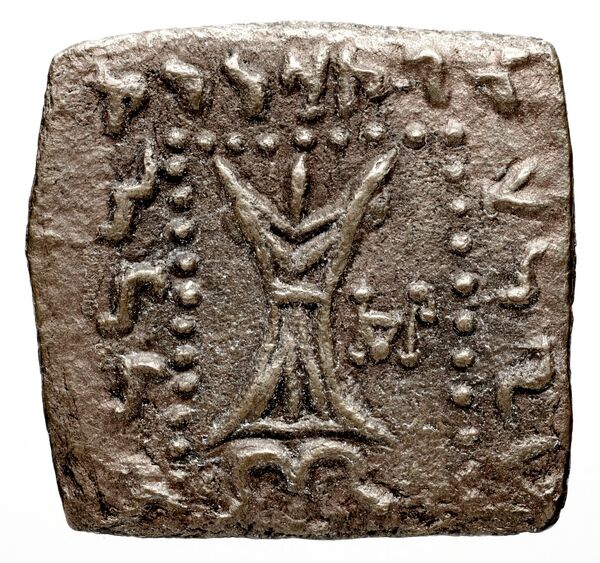 реверс Bactrian and Indo-Greek Coinage Apollodotus I 6.19