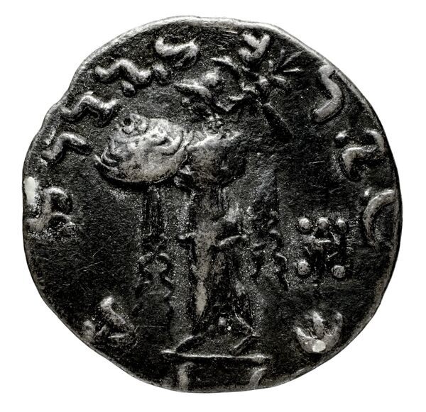 Bactrian and Indo-Greek Coinage Menander I 13.17, реверс, bnf-bigr